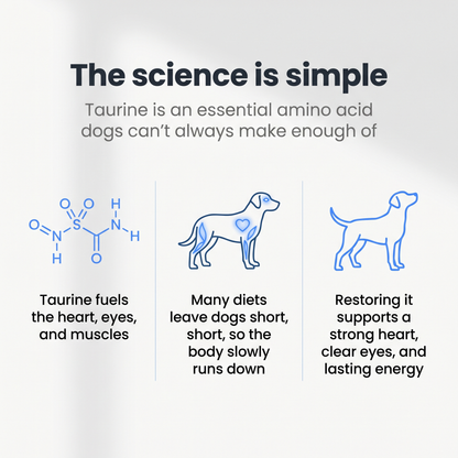 DoggySupps™ Taurine